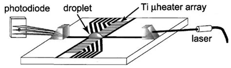 Thermocapillarity in Microfluidics—A Review