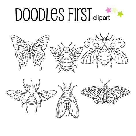 Image result for Insect Drawing