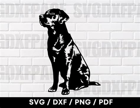 Image result for Lab DXF