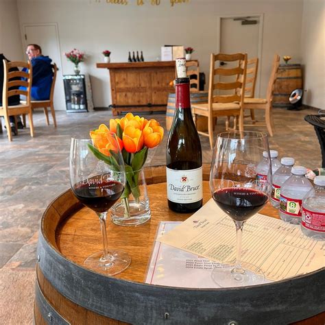 David Bruce Winery (2026) - All You Need to Know BEFORE You Go (with ...
