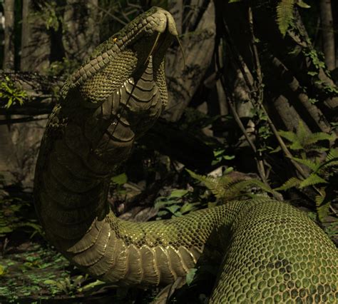 Image result for The Python Queens All Episodes