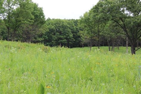 Cap Sauers Holding Nature Preserve