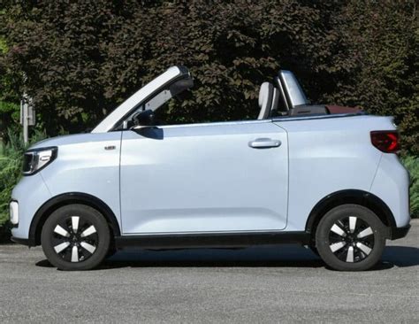 Image result for Wuling Mini EV Capybara