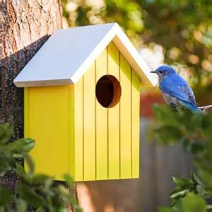 BIRDSHALA Wooden Large Bird House for Sparrow, Bulbul, Budgies, Wild ...