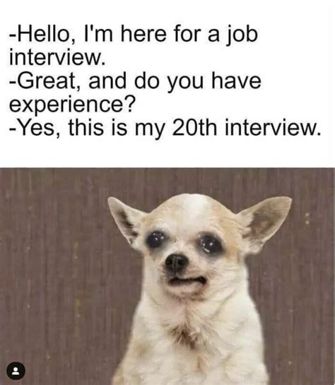 Interview Tips Meme 的图像结果