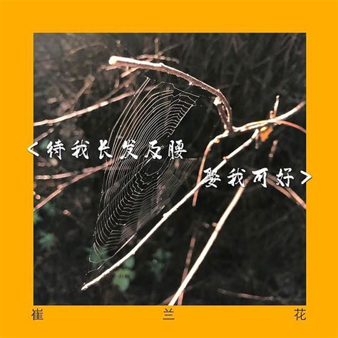 待我长发及腰 娶我可好 - Single by 崔兰花 | Spotify