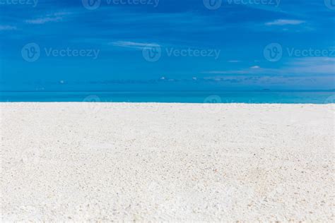 Sea View 的图像结果