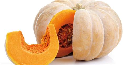 Pumpkin – Food Care INDIA