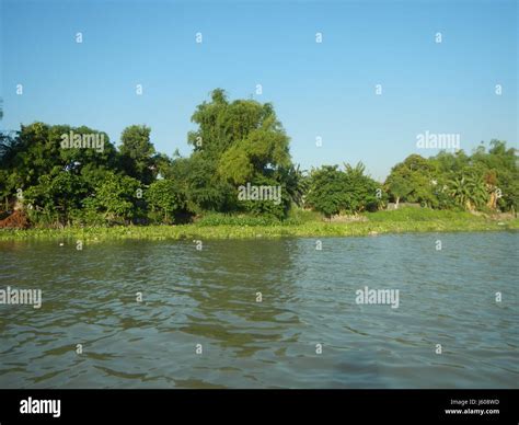 The image depicts the scenic landscape of the river banks in Pulilan ...