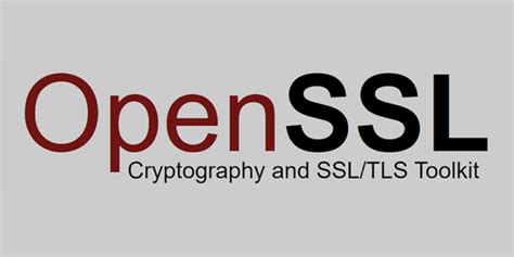 OpenSSL 生成自签名泛域名证书 | AlysonInno 技术随记