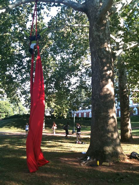 Image result for Human Walk-In Complex Environment