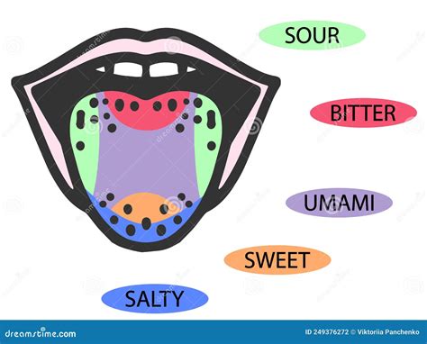 Taste Scheme Concept. Vector Flat Modern Color Illustration. Tongue With Lips. Mouth Tasty Sense ...