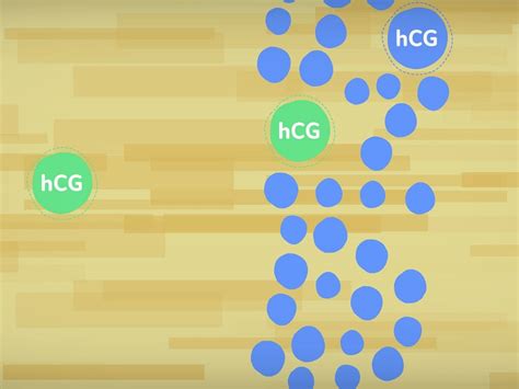 10 primeros sintomas del embarazo (video) | BabyCenter