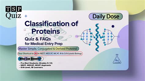 Classification of Proteins Quiz: 20 High-Yield MCQs - The Scholar Post