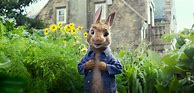 Image result for Peter Rabbit DVD Collection