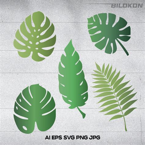 Tropical Leaves, Palm Leaves, Set Leaves, SVG Vector - MasterBundles