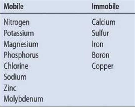 An immobile element in plants isa)Calciumb)Potassiumc)Nitrogend ...