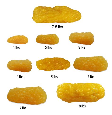 5lbs Human Fat Replica Anatomical Model - Buy Fat Model For ...