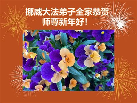 Đệ tử Đại Pháp tại Đan Mạch, Thụy Điển, Na Uy và Phần Lan kính chúc Sư ...