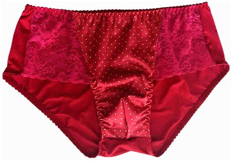 Buy Ccai Sissy lace Brief Panties Underwear for Men Funnyy Lingerie ...