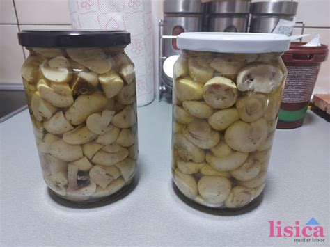 Kuhinjski recepti : Lisica.RS