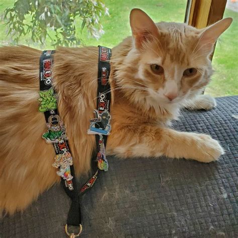 Image result for Time-Variant Loki Pin