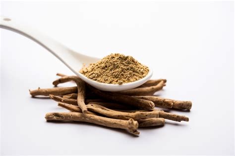 Ashwagandha or aswaganda or indian ginseng is an ayurveda medicine in ...