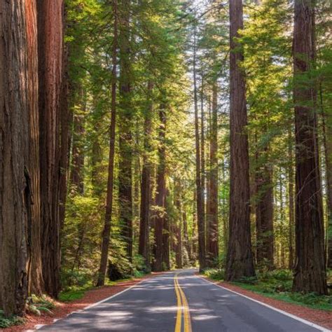 Where Is Bermuda Triangle Located 的图像结果