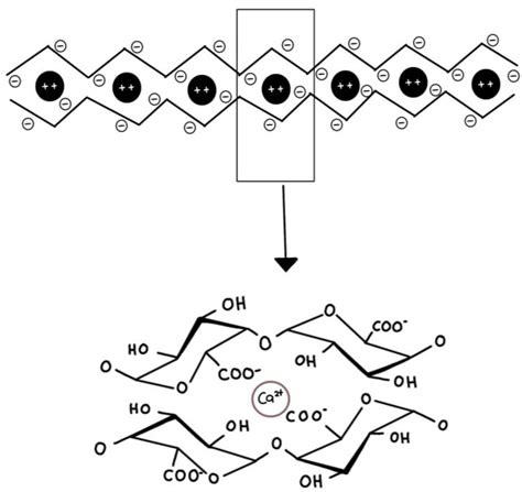 Image result for Pectin Structure