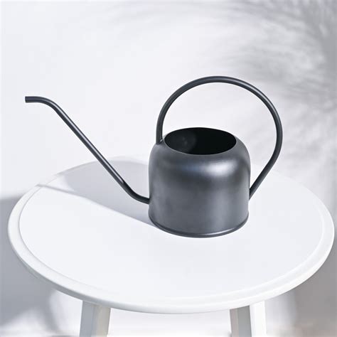 Magnum Watering Can – Ugaoo