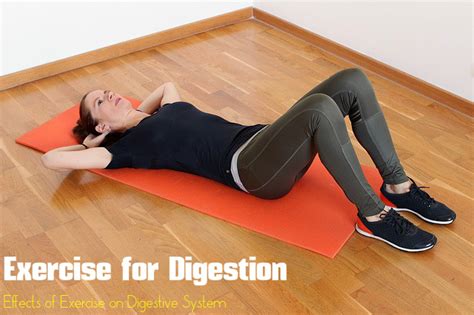 Image result for Digesting Exercise