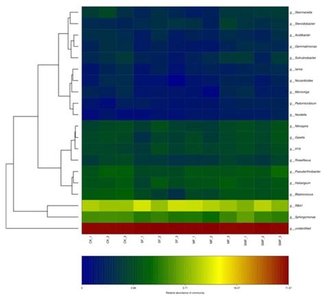 Silicon Fertilizer and Microbial Agents Changed the Bacterial Community ...