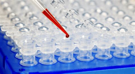 qPCR Method 的图像结果
