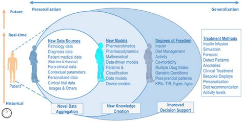 Human Digital Twin for Personalized Elderly Type 2 Diabetes Management