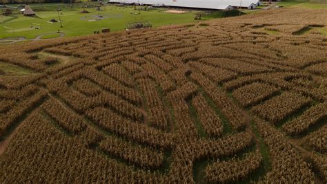 Corn Maze 的图像结果