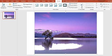 Image result for How to Set Transparency in PowerPoint