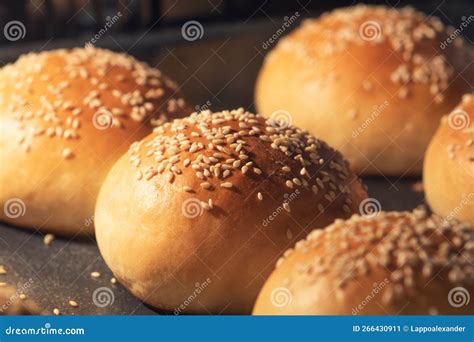 Baking buns in the oven stock image. Image of bread - 266430911