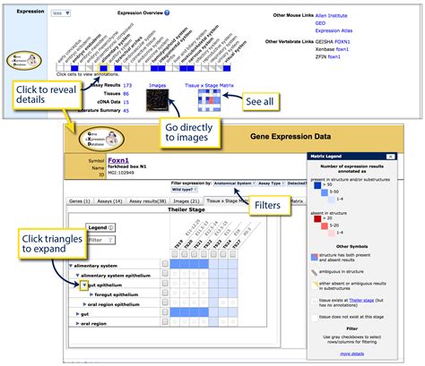 Open MGI File 的图像结果