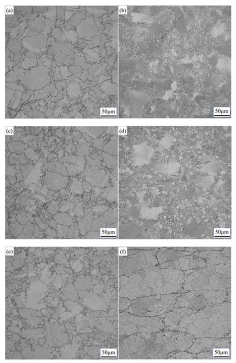 Effect of Solution Treatment on Microstructure Evolution of a Powder ...