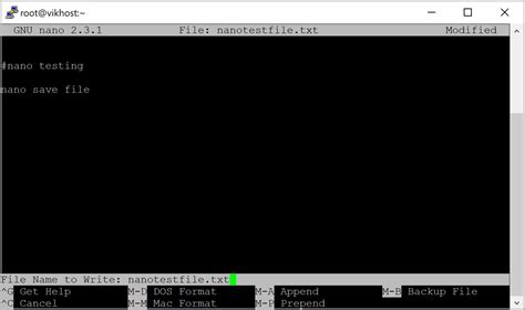How to Write File in Nano 的图像结果