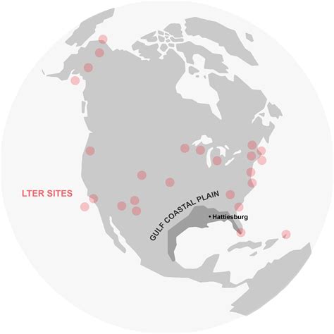 Gulf Coastal Plain | REU - Gulf Coastal Plain Ecology | The University ...