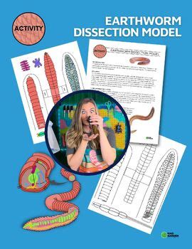 Earthworm Paper Dissection | Hands-On Lab & Project by Mad Garden Science