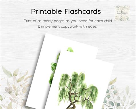 Tree Flashcard 的图像结果