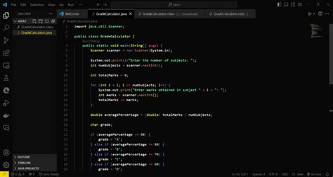 Java Deepak Class 的图像结果
