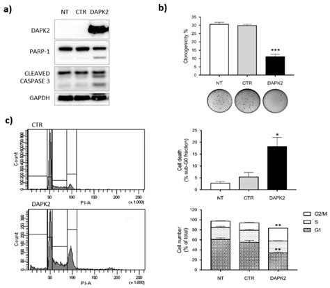 miR-1285-3p Controls Colorectal Cancer Proliferation and Escape from ...