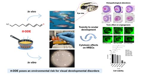 Early-Life Exposure to the Cooking Oil Fume Component trans,trans-2,4 ...