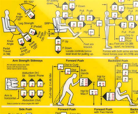 Image result for Humanscale Chart