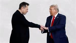 Donald Trump Adds Stephen Miller's Wife Katie Miller To DOGE Team, Elon ...