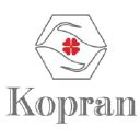KOPRAN Share Price, Kopran Stock NSE BSE India | SharesGuru