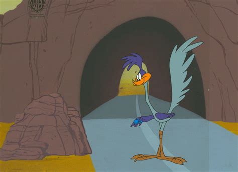 Road Runner Running Real Life 的图像结果